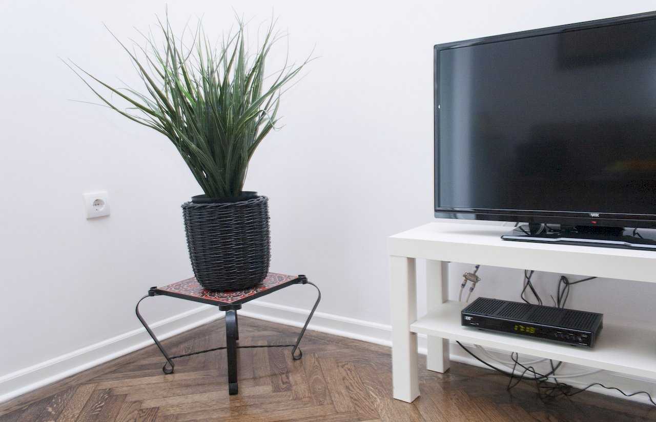 Living room corner – white TV console with flat-screen TV and set-top box, plus a tall grass-like plant in a wicker pot on a black wrought-iron stand – Apartment Atelje 2 – City Break Apartments