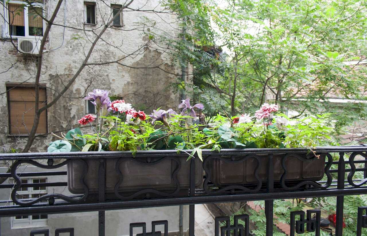 Balcony with wrought-iron railing, planter boxes filled with lilac, white and red-and-white flowers and view of the neighbouring old façade framed by leafy tree canopies – Apartment Atelje 2 – City Break Apartments