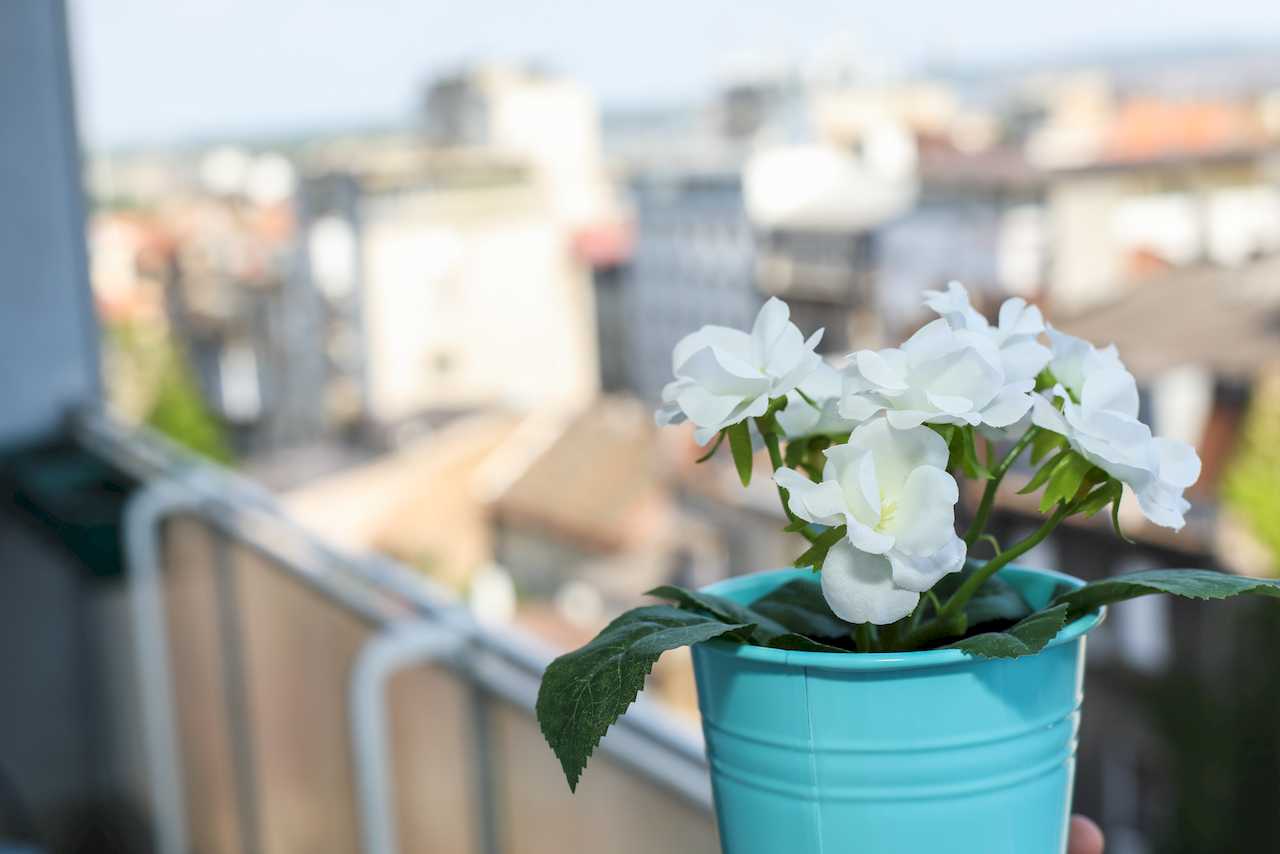 Detalj cveća na terasi i pogled na grad – Apartman Dolce Vita – City Break Apartments