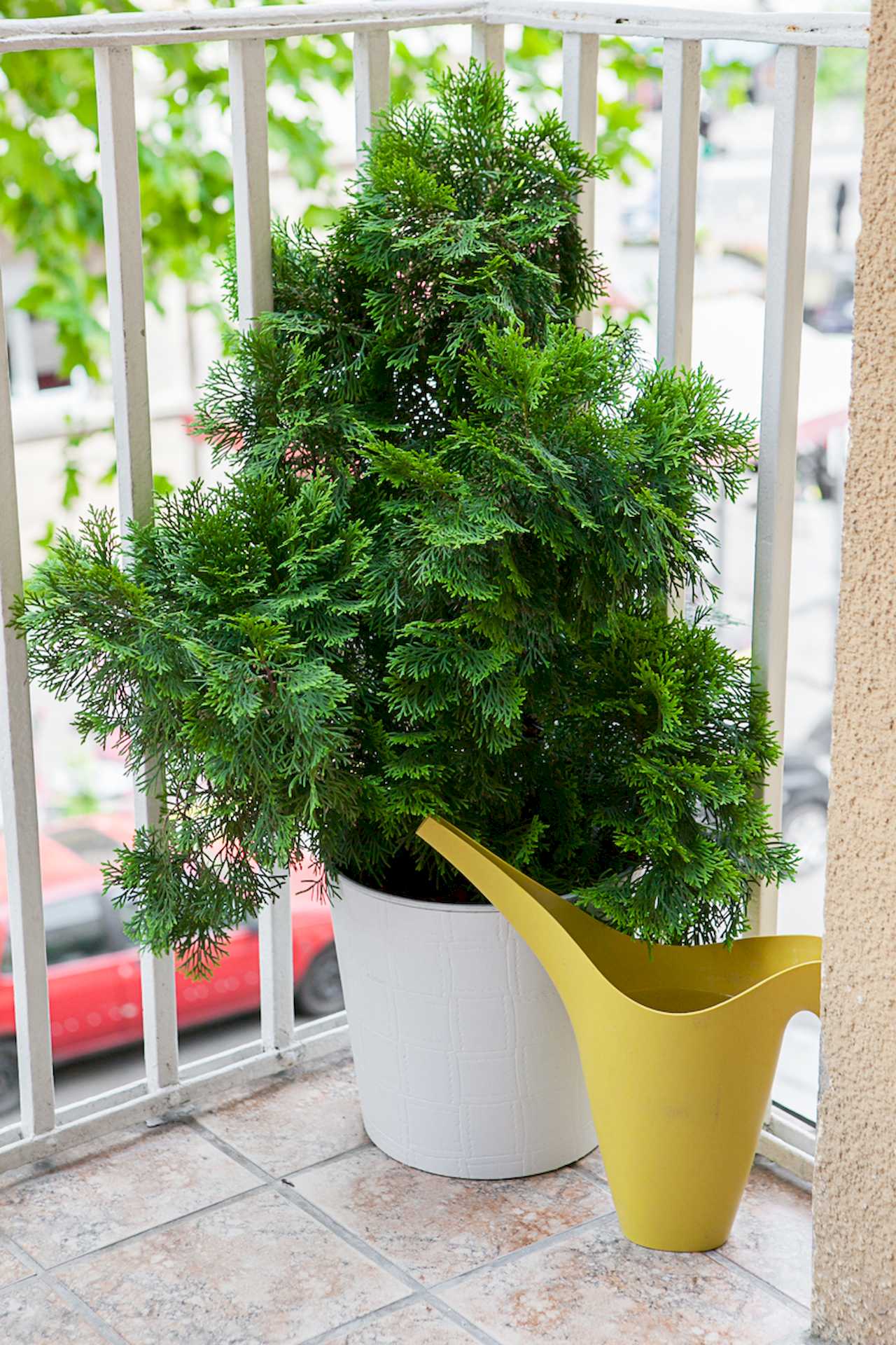 Apartment Downtown (Skadarlija, Belgrade) – terrace detail with potted evergreen and yellow watering can