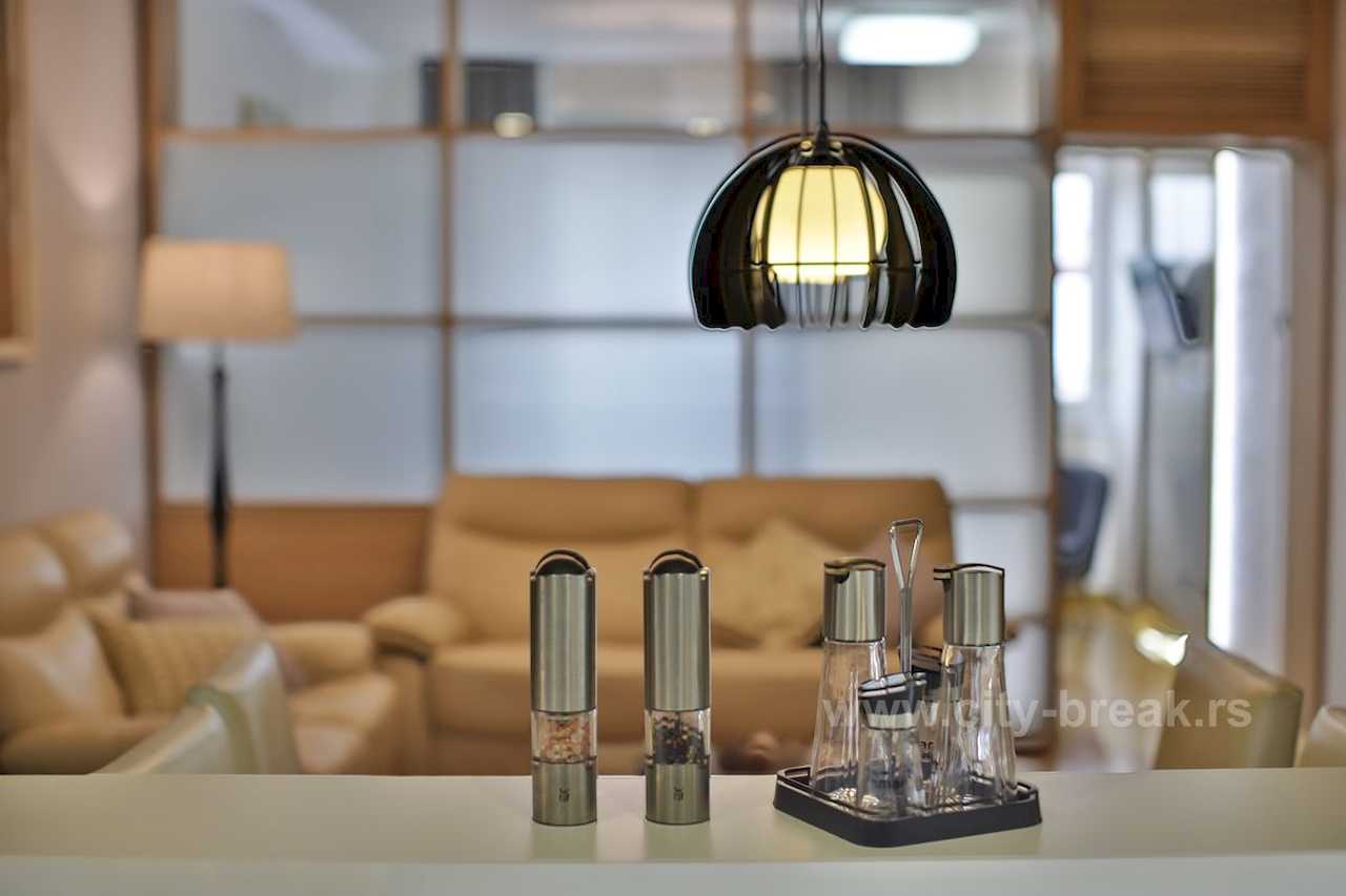 Detalj mlinova za so i biber na šanku sa pogledom na dnevnu sobu – Apartman Merkator – City Break Apartments