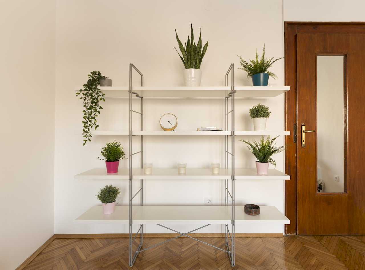 Bela polica na metalnom okviru sa biljkama, satom i dekoracijom na parketu – Apartman Milica – City Break Apartments