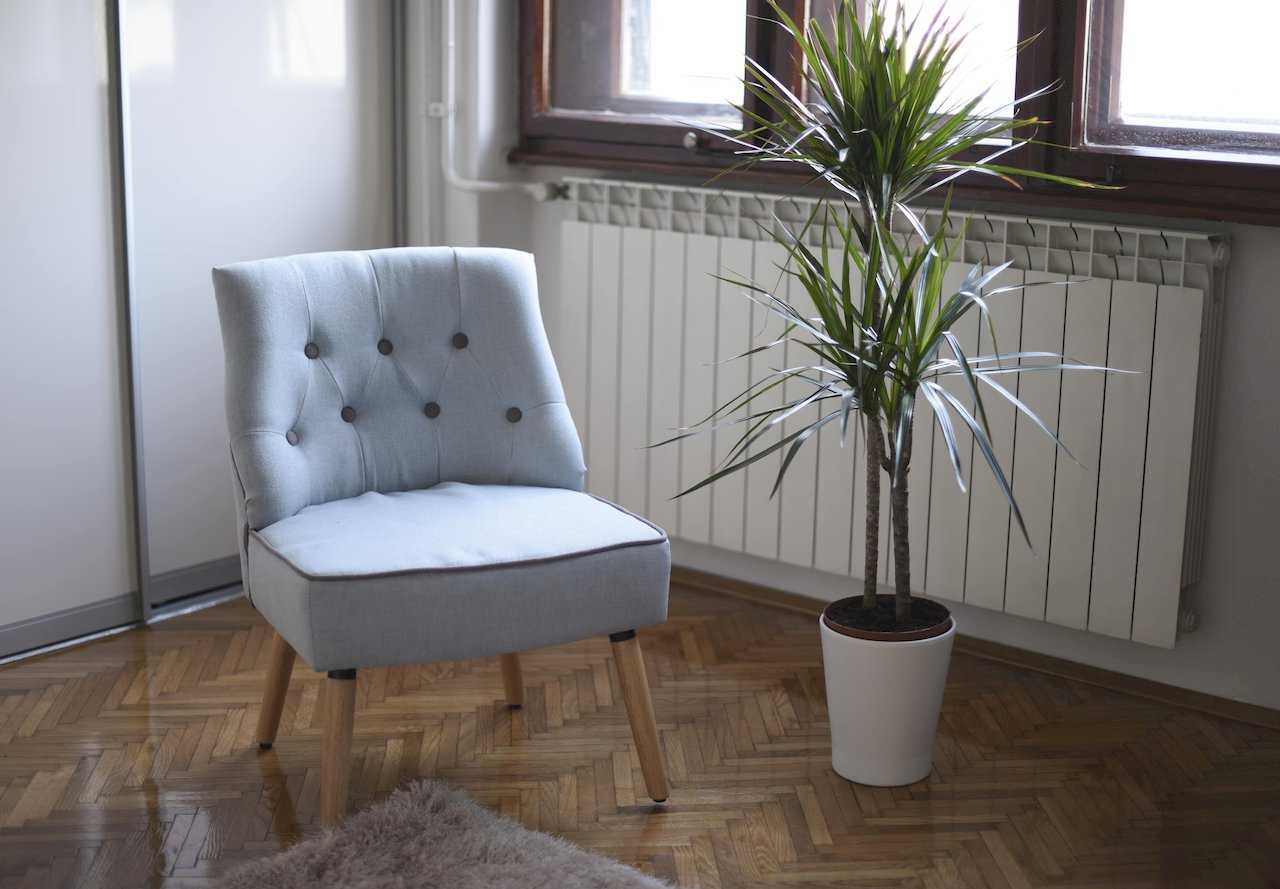 Svetloplava tapacirana fotelja i visoka sobna biljka pored prozora – Apartman Milica – City Break Apartments