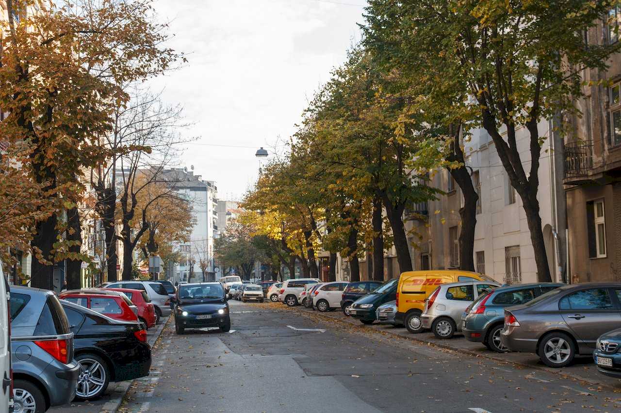 Apartman Sweet (Beograd, centar) – ulica sa drvoredom u jesenjim bojama i parkiranim automobilima
