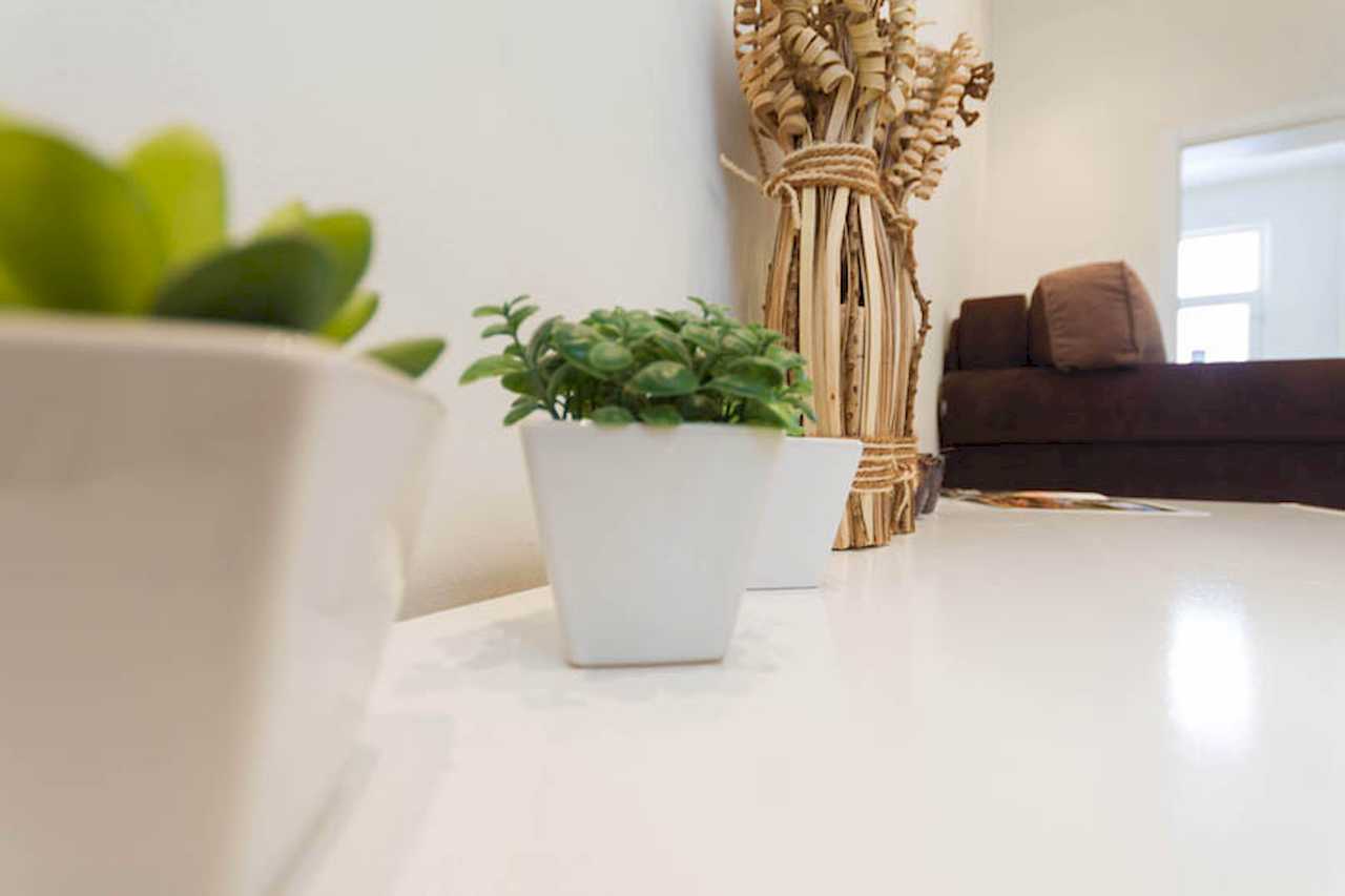 Close-up of succulent pots and decorative reeds on a white shelf, brown corner sofa blurred in the background – Apartment Trg 1 – City Break Apartments