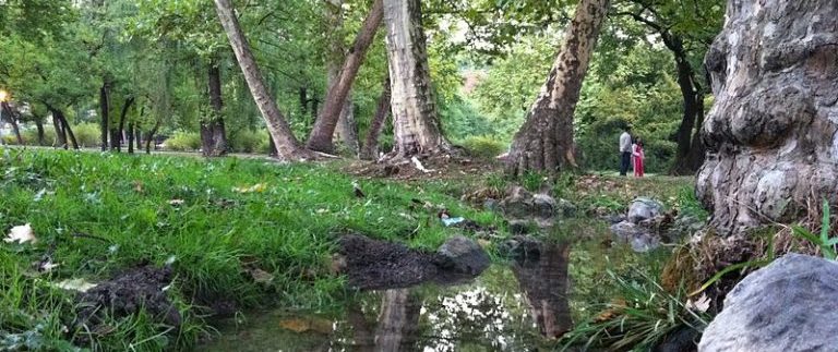 800px-topciderski_park-raj_u_beogradu_topcider_park-belgrade_paradise-768x574