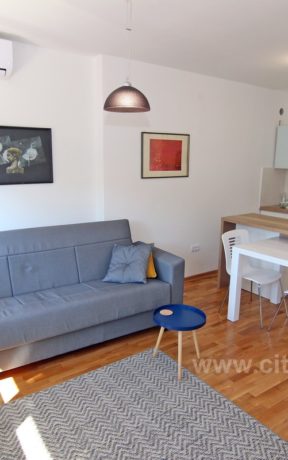 Apartman Cetinjska