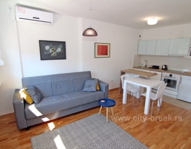Apartman Cetinjska