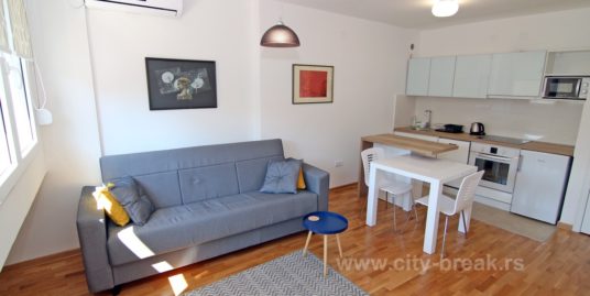 Apartman Cetinjska
