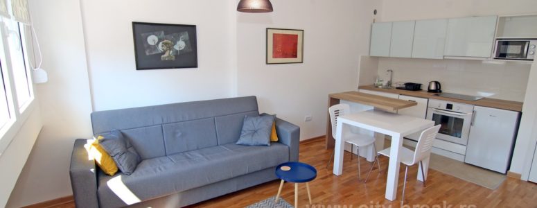 Apartman Cetinjska