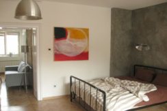 apartman-industria-03