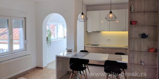 Apartment Knez