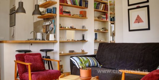 Apartment Nina