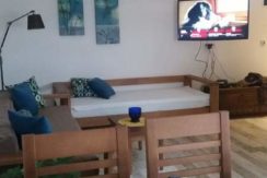 apartman-zmaj-jovina-14