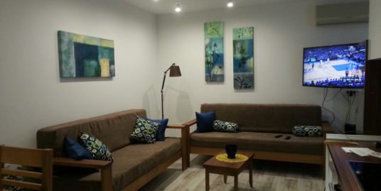 Apartment Zmaj Jovina
