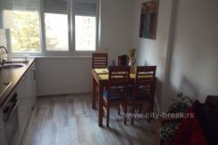 apartman-zmaj-jovina-26