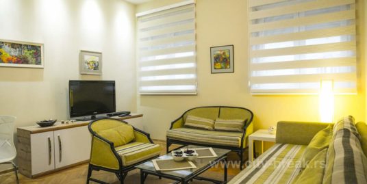 Apartment Knez 2