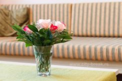 apartman-centar-2-city-break-apartments-32
