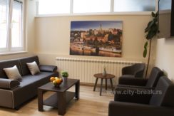 apartman-u-beogradu-jovanova-05