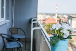 apartmani-beograd-apartman-dolce-vita-19