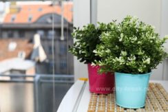 apartmani-beograd-apartman-dolce-vita-31