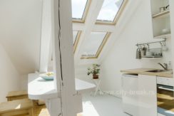 apartmani-beograd-mansarda-06