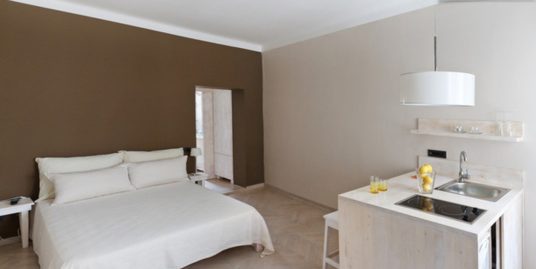 Apartment Skadarlija