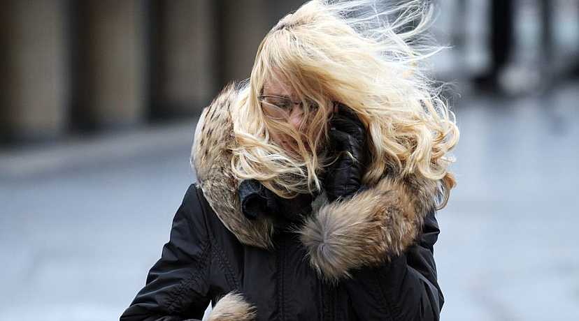 Girl on the wind