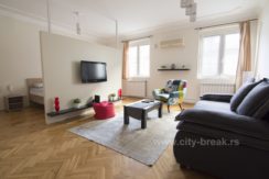 jednosobni-apartman-u-beograd-radio-strogi-centar-01