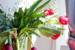 studio-apartman-jazz-beograd-centar-09